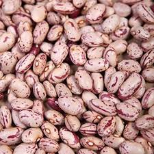 Shiv Wale Chitra Rajma 1kg