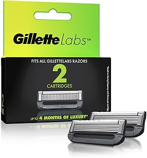 Gillette Labs 2 Cartridges