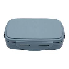 Jaypee Plus Container 600ml