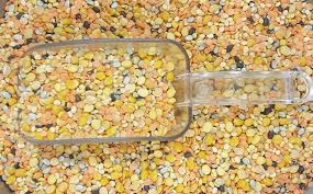 Shiv Wale Mix Dal 500g
