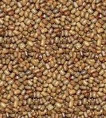 Shiv Wale Moth Dal 1kg