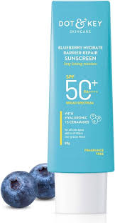 Dotkey Blueberry Hydrate Barrier Repair Sunscreen 50g